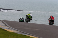 PJ-Motorsport-2019;anglesey-no-limits-trackday;anglesey-photographs;anglesey-trackday-photographs;enduro-digital-images;event-digital-images;eventdigitalimages;no-limits-trackdays;peter-wileman-photography;racing-digital-images;trac-mon;trackday-digital-images;trackday-photos;ty-croes